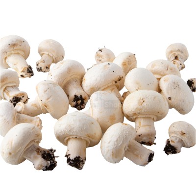 Шампиньоны свежие 500 г - купить в Соловьево